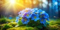 Delicate Blue Primroses Bloom on a Pristine Forest Lawn A Minimalist Spring Scene Royalty Free Stock Photo