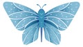 Delicate blue wings insect. Decorative pattern butterfly