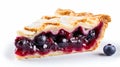 Delicate Blueberry Dessert Pie Slice - Pop-culture Inspired Royalty Free Stock Photo