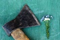 Delicate bouquet of flowers lying next to a rusty ax.