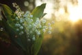 Delicate bouquet of lilies of the valley on the background of a forest dawn