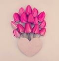 bouquet of red and pink tulips Royalty Free Stock Photo