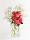 delicate bouquet with roses in a glass vase on white background Royalty Free Stock Photo