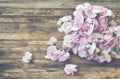 delicate bouquet of sweet peas