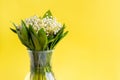 Delicate bouquet of white lilies of the valley in green leaves in a glass vase on a bright yellow background with copy space Royalty Free Stock Photo