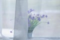 Delicate bouquet of wildflowers behind translucent curtain on room window sill Royalty Free Stock Photo