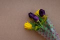 Delicate bunch of yellow and pyrple tulips and little mimosa flowers in the cotner of brown background