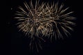 A delicate burst of fireworks in the night sky Royalty Free Stock Photo