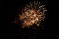 Delicate burst of golden fireworks in the night sky. Pyrotechnic show Royalty Free Stock Photo