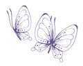 Delicate butterflies with patterns on the wings, simple, sweet, light, romantic. Illustration graphically hand-drawn in