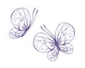 Delicate butterflies with patterns on the wings, simple, sweet, light, romantic. Illustration graphically hand-drawn in