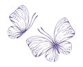 Delicate butterflies with patterns on the wings, simple, sweet, light, romantic. Illustration graphically hand-drawn in