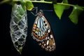 Delicate butterfly emerging from its chrysalis, unfurling its wings to reveal stunning patterns and hues. Generative AI Royalty Free Stock Photo