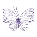 Delicate butterfly with patterns on the wings, simple, sweet, light, romantic. Illustration graphically hand-drawn in