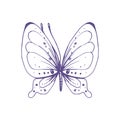 Delicate butterfly with patterns on the wings, simple, sweet, light, romantic. Illustration graphically hand-drawn in