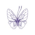 Delicate butterfly with patterns on the wings, simple, sweet, light, romantic. Illustration graphically hand-drawn in