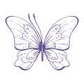 Delicate butterfly with patterns on the wings, simple, sweet, light, romantic. Illustration graphically hand-drawn in