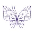 Delicate butterfly with patterns on the wings, simple, sweet, light, romantic. Illustration graphically hand-drawn in