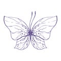 Delicate butterfly with patterns on the wings, simple, sweet, light, romantic. Illustration graphically hand-drawn in