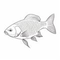 Delicate Carp Drawing On White Background: Simple And Scientific Illustration By Robert Munsch Royalty Free Stock Photo