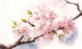 Delicate cherry blossoms in bloom on summer branches in garden. Bouquet of flower watercolor painting. Beautiful flower. Lovely Royalty Free Stock Photo