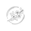 Delicate Cherry Blossoms Drawn with Fine Black Lines, Framed by a Circle, Providing a Spring Theme Royalty Free Stock Photo