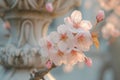 Delicate cherry blossoms in soft sunlight