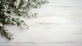 Delicate Christmas Eucalyptus Leaves And Cypress Branches On White Wood Background Royalty Free Stock Photo