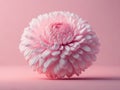 Delicate chrysanthemum flower on pastel pink background. ai generative