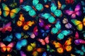 Delicate Colorful butterflies insects. Colorful room collection