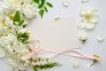 Delicate composition of blank card with white roses and petals with acacia flowers and pink ribbon on white background. Wedding Royalty Free Stock Photo