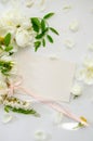 Delicate composition of blank card with white roses and petals with acacia flowers and pink ribbon on white background. Wedding Royalty Free Stock Photo