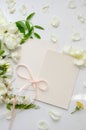 Delicate composition of blank card with white roses and petals with acacia flowers and pink ribbon on white background. Wedding Royalty Free Stock Photo