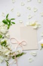 Delicate composition of blank card with white roses and petals with acacia flowers and pink ribbon on white background. Wedding Royalty Free Stock Photo