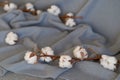 Delicate cotton flowers textile clothes. Organic cotton clothing idea.