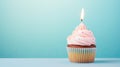 Pastel Pink Frosted Cupcake with Lit Birthday Candle Royalty Free Stock Photo
