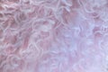 Delicate curly pink fur background with darker hues in upper left fading to very light pink in lower right