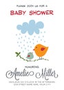 Delicate customizable baby shower card template with birds