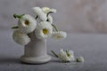 A bouquet of white daisies in a white ceramic pile