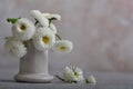 A bouquet of white daisies in a white ceramic pile