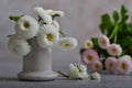 White daisies in a white ceramic pile, next to a bouquet of pink daisies