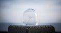 Delicate dandelion seed protected under a clear glass dome on a concrete surface Royalty Free Stock Photo