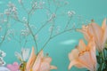 Delicate decorative bouquet of lilies close-up