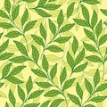 Delicate design of tender branches and leaves mosaic of leaves of different shades of green. vector seamless pattern