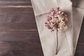 Delicate dry hydrangea flower on a beige kitchen towel on a dark wooden background. simple flat composition with place for text. Royalty Free Stock Photo