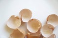 Delicate Egg Shells on a White and Airy Background Royalty Free Stock Photo