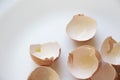 Delicate Egg Shells on a White and Airy Background