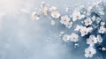 Delicate Ethereal Patterns Dancing Across a Calming Backdrop, Evoking Peacefulness and Tranquility with a Soft Color