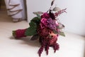 Delicate, expensive, trendy bridal wedding bouquet of flowers in marsala and red color.