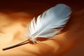 A delicate feather emerges from a piece of elegant paper